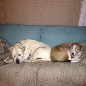 Meet your Posher, Joan